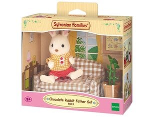 Mängujänes ja mööbel Sylvanian Families hind ja info | Tüdrukute mänguasjad | kaup24.ee