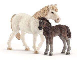 Kujukesed Hobused Mare ja Foal, Schleich hind ja info | Poiste mänguasjad | kaup24.ee