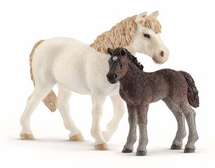 Kujukesed Hobused Mare ja Foal, Schleich цена и информация | Игрушки для мальчиков | kaup24.ee