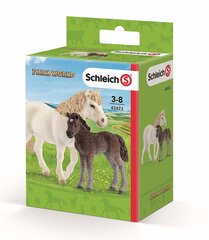 Kujukesed Hobused Mare ja Foal, Schleich цена и информация | Игрушки для мальчиков | kaup24.ee