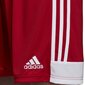 Poiste lühikesed püksid Adidas Tastigo 19 M DP3681, punased цена и информация | Poiste lühikesed püksid | kaup24.ee