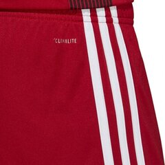 Poiste lühikesed püksid Adidas Tastigo 19 M DP3681, punased hind ja info | Poiste lühikesed püksid | kaup24.ee