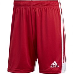 Poiste lühikesed püksid Adidas Tastigo 19 M DP3681, punased цена и информация | Шорты для мальчиков | kaup24.ee