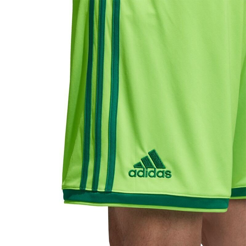 Poiste lühikesed spordipüksid Adidas Regista 18 Short M CF9598 цена и информация | Poiste püksid | kaup24.ee