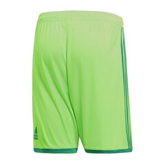 Poiste lühikesed spordipüksid Adidas Regista 18 Short M CF9598 hind ja info | Poiste püksid | kaup24.ee