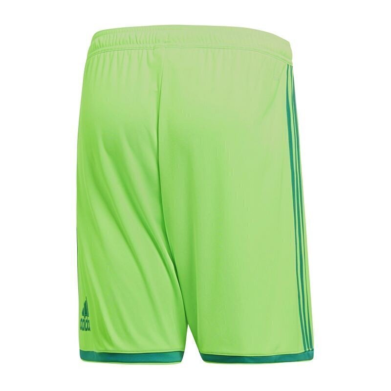 Poiste lühikesed spordipüksid Adidas Regista 18 Short M CF9598 цена и информация | Poiste püksid | kaup24.ee