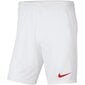 Spordipüksid lastele Nike Y Park III Jr BV6865 103 hind ja info | Poiste lühikesed püksid | kaup24.ee