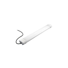 LED valgusti 60W, IP65, 5100lm, 120cm, 4000K цена и информация | Монтируемые светильники, светодиодные панели | kaup24.ee