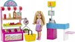 Barbie Chelsea ostukeskus GTN67 цена и информация | Tüdrukute mänguasjad | kaup24.ee