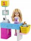 Barbie Chelsea ostukeskus GTN67 hind ja info | Tüdrukute mänguasjad | kaup24.ee