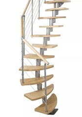 Модульная лестница DOLLE Rome, высота комплекта: 259 - 322 см цена и информация | Лестницы | kaup24.ee