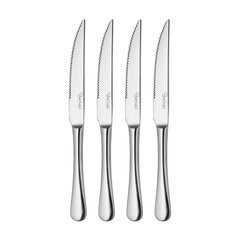Набор ножей для стейка Radford, 4 шт. цена и информация | Ножи и аксессуары для них | kaup24.ee