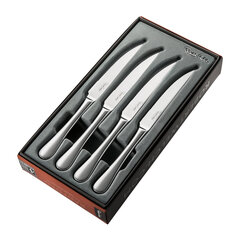 Набор ножей для стейка Radford, 4 шт. цена и информация | Ножи и аксессуары для них | kaup24.ee