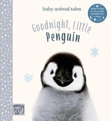 Goodnight, Little Penguin: Simple stories sure to soothe your little one to sleep hind ja info | Noortekirjandus | kaup24.ee