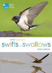 RSPB Spotlight Swifts and Swallows hind ja info | Tervislik eluviis ja toitumine | kaup24.ee