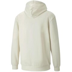 Мужской свитер Puma Better Hoodie TR M, бежевый цена и информация | Мужские толстовки | kaup24.ee