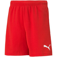 Lühikesed püksid Puma Teamrise Short Jr Red 704943 01 hind ja info | Poiste lühikesed püksid | kaup24.ee