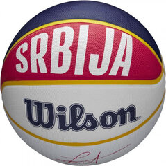 Wilson NBA Player Local Nikola Jokic ball for basket WZ4006701XB цена и информация | Баскетбольные мячи | kaup24.ee