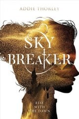 Sky Breaker hind ja info | Noortekirjandus | kaup24.ee