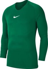 Футболка мужская Nike Dry Park First Layer M AV2609-302, зеленого цвета цена и информация | Мужская спортивная одежда | kaup24.ee