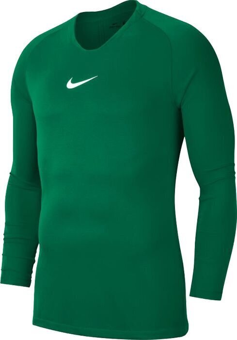 Meeste pluus Nike Dry Park First Layer AV2609, roheline цена и информация | Meeste spordiriided | kaup24.ee