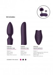 Вибратор с аксессуарами Pleasure Kit, фиолетовый цвет цена и информация | Вибраторы | kaup24.ee