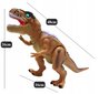 Pruun T-Rex liikuv helendav dinosaurus цена и информация | Arendavad mänguasjad | kaup24.ee