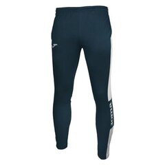 Спортивные штаны для мальчиков Joma Champion IV M 100761.302 цена и информация | Мужская спортивная одежда | kaup24.ee