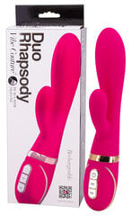 Duo Rhapsody roosa hind ja info | Vibraatorid | kaup24.ee
