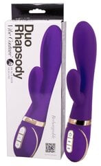 Vibratorius Vibe Couture Duo Rhapsody, violetinis hind ja info | Vibraatorid | kaup24.ee