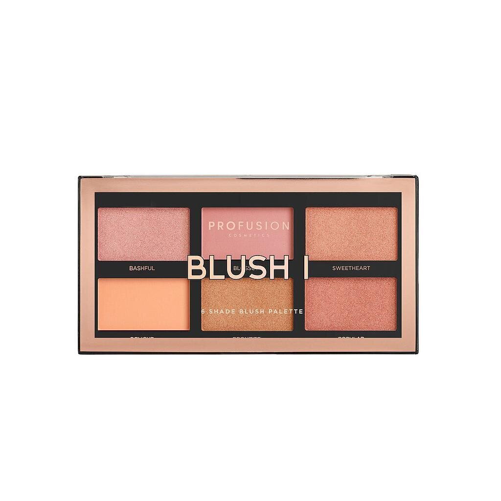 Põsepunapalett Profusion Blush Palette 1, 15.6 g hind ja info | Päikesepuudrid, põsepunad | kaup24.ee