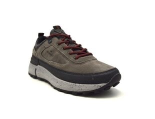 Обувь Wrangler Mounty Hike, серо-черный цвет цена и информация | Кроссовки для мужчин | kaup24.ee