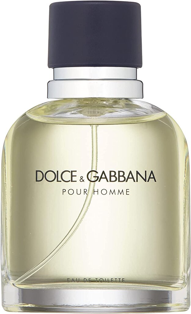 Dolce & Gabbana Pour Homme EDT meestele 75 ml hind ja info | Meeste parfüümid | kaup24.ee