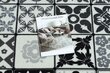Rugsx vaip Azulejo Patchwork, Foxabonos plaadid 90x360 cm hind ja info | Vaibad | kaup24.ee