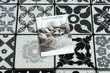 Rugsx vaip Azulejo Patchwork, Foxabonos plaadid 90x460 cm hind ja info | Vaibad | kaup24.ee