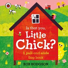 Is that you, Little Chick?: A pull-and-slide flap book hind ja info | Väikelaste raamatud | kaup24.ee