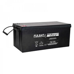 Аккумулятор Fulbat FPC12-200 T11 214,4 Ач 12В цена и информация | Аккумуляторы | kaup24.ee