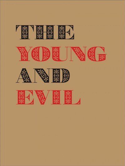 Young and Evil: Queer Modernism in New York 1930-1955 цена и информация | Kunstiraamatud | kaup24.ee