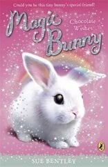 Magic Bunny: Chocolate Wishes hind ja info | Noortekirjandus | kaup24.ee