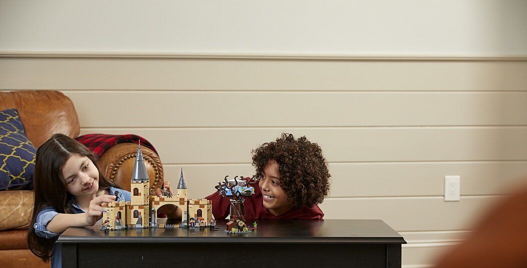 75953 LEGO® Harry Potter Sigatüüka jõujaam цена и информация | Klotsid ja konstruktorid | kaup24.ee