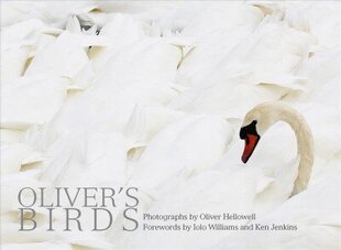 Oliver's Birds: By Oliver Hellowell Annotated edition цена и информация | Книги по фотографии | kaup24.ee