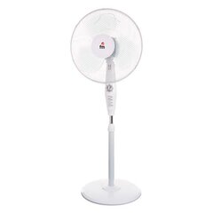 Seisuventilaator Grupo FM P-40 45W Valge Valge hind ja info | Ventilaatorid | kaup24.ee