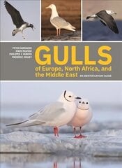 Gulls of Europe, North Africa, and the Middle East: An Identification Guide цена и информация | Энциклопедии, справочники | kaup24.ee