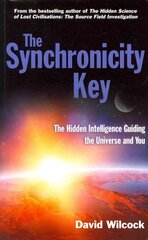 Synchronicity Key: The Hidden Intelligence Guiding the Universe and You Main hind ja info | Eneseabiraamatud | kaup24.ee