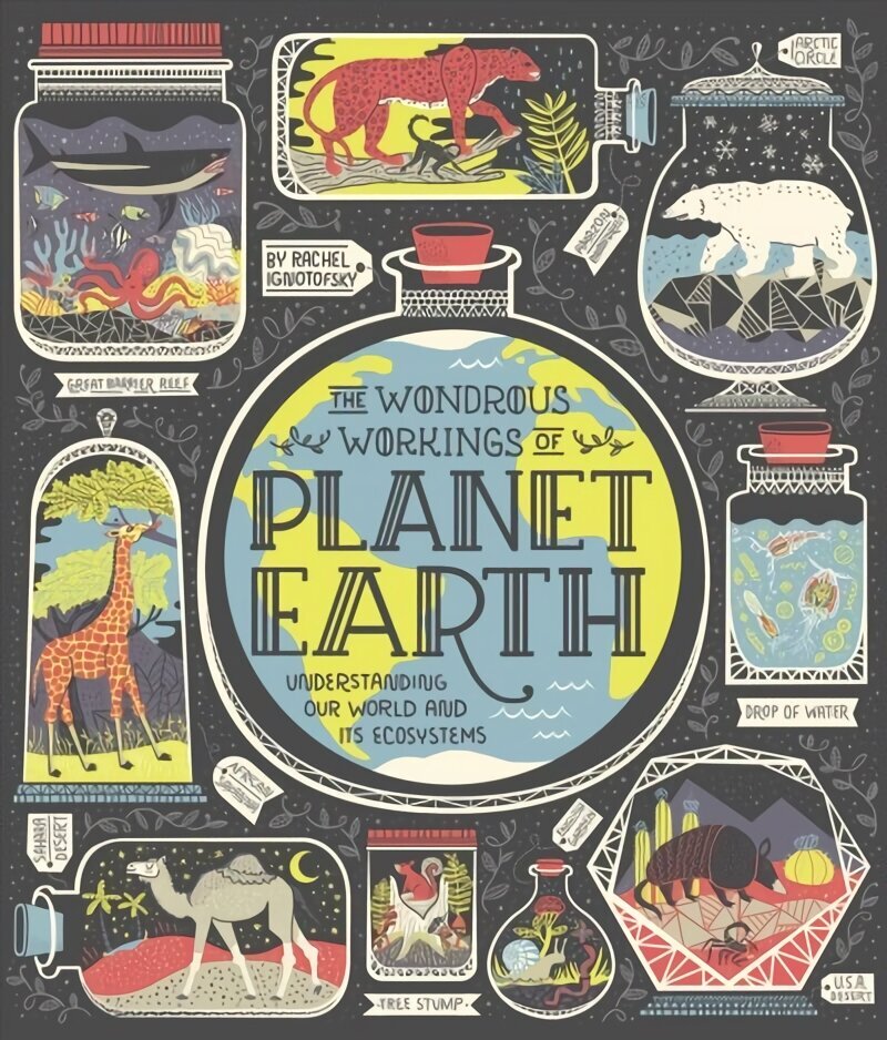 Wondrous Workings of Planet Earth: Understanding Our World and Its Ecosystems hind ja info | Noortekirjandus | kaup24.ee