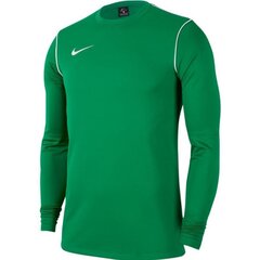 Мужская футболка Nike Park 20 Crew Top M BV6875 302, зеленая цена и информация | Мужская спортивная одежда | kaup24.ee