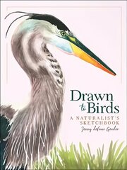 Drawn to Birds: A Naturalist's Sketchbook цена и информация | Книги об искусстве | kaup24.ee