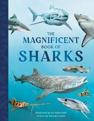 Magnificent Book of Sharks цена и информация | Книги для подростков и молодежи | kaup24.ee