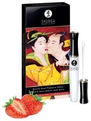 Huuleläige Shunga Divine Oral Pleasure Gloss, 10 ml hind ja info | Hügieenitooted | kaup24.ee