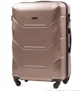 Небольшой чемодан Wings TD147, размер S, для ручной клади, цвета шампанского цена и информация | Чемоданы, дорожные сумки | kaup24.ee